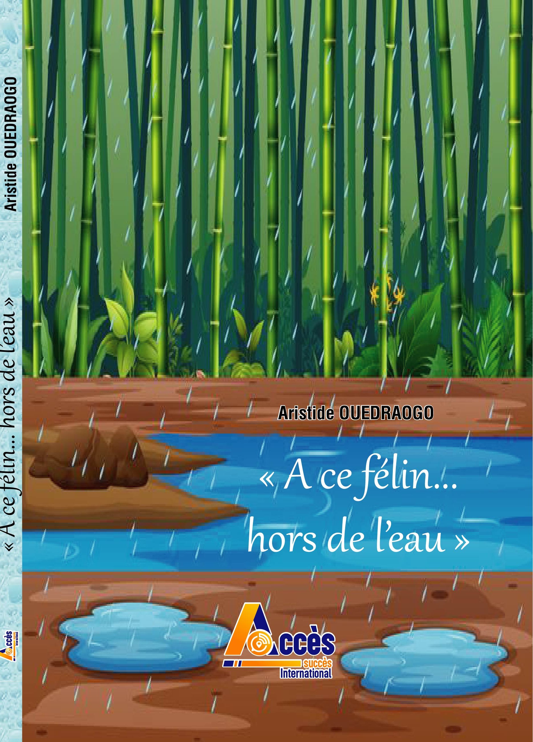 A ce félin hors de l’eau